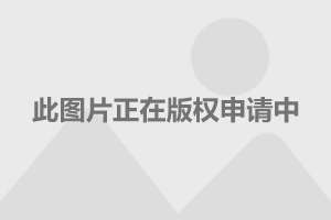  利物浦球迷抗议票价上涨，与警方爆发冲突  